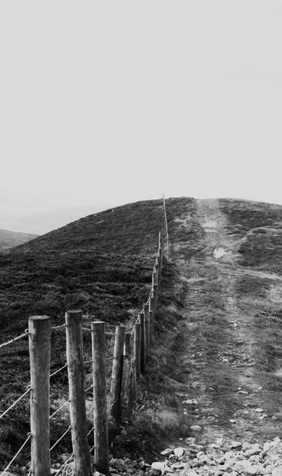 A lone fence